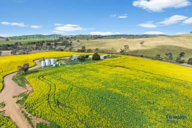 Farm For Sale - NSW - Boorowa - 2586 - TURN KEY CROPPING & GRAZING OPPORTUNITY.  (Image 2)