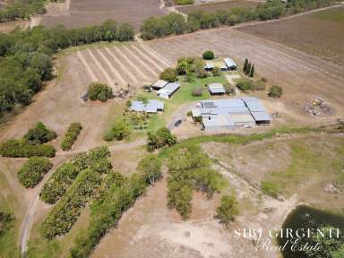 Farm For Sale - QLD - Dimbulah - 4872 - OPPORTUNITY TO EMBRACE A RURAL LIFESTYLE WHILE GENERATING INCOME  (Image 2)