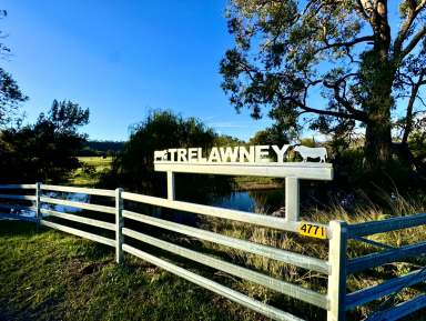 Farm Auction - NSW - Scone - 2337 - "Trelawney" Rich Soils, Hunter River Frontage & Stunning Home  (Image 2)