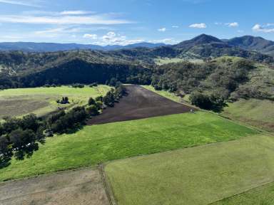 Farm Auction - NSW - Scone - 2337 - "Trelawney" Rich Soils, Hunter River Frontage & Stunning Home  (Image 2)