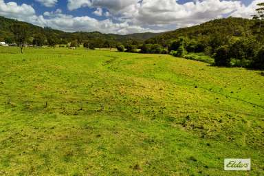 Farm For Sale - NSW - Marlee - 2429 - MAGNIFICENT EASY ACCESS ACRES WITH LONG CREEK FRONTAGE  (Image 2)