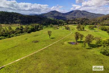 Farm For Sale - NSW - Marlee - 2429 - MAGNIFICENT EASY ACCESS ACRES WITH LONG CREEK FRONTAGE  (Image 2)