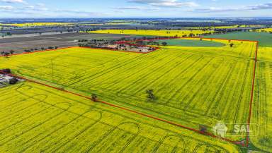 Farm For Sale - SA - Mundulla - 5270 - Lawsons Hill  (Image 2)