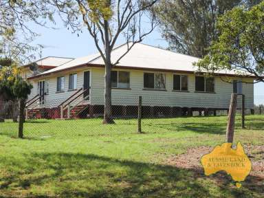 Farm For Sale - QLD - Charlestown - 4608 - Recently Renovated Colonial Style Home on 320 Acres  (Image 2)