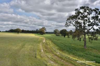 Farm For Sale - WA - Trigwell - 6244 - Trigwell Opportunity Awaits  (Image 2)