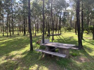 Farm For Sale - QLD - Miles - 4415 - A country retreat - ticks all the boxes  (Image 2)