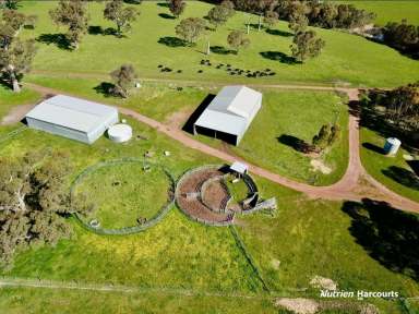 Farm For Sale - VIC - Wando Bridge - 3312 - Reliability and establishment second to none.  (Image 2)