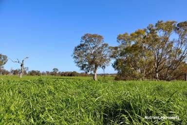 Farm For Sale - VIC - Wando Bridge - 3312 - Reliability and establishment second to none.  (Image 2)