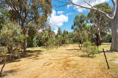 Farm For Sale - VIC - Elphinstone - 3448 - Park Like  (Image 2)