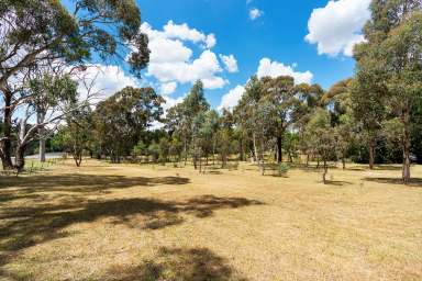 Farm For Sale - VIC - Elphinstone - 3448 - Park Like  (Image 2)