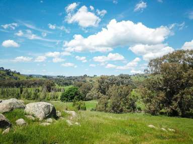 Farm For Sale - VIC - Violet Town - 3669 - Spectacular Hill Country at Violet Town's doorstep  (Image 2)