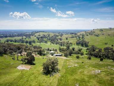 Farm For Sale - VIC - Violet Town - 3669 - Spectacular Hill Country at Violet Town's doorstep  (Image 2)