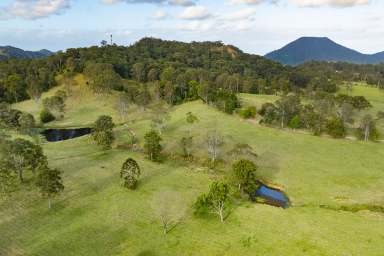 Farm For Sale - QLD - Belli Park - 4562 - Stunning Country Estate on 62 Acres  (Image 2)