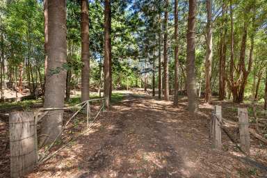 Farm Auction - QLD - Federal - 4568 - Glorious 9.61 Acres, Creek and Views  (Image 2)