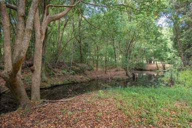 Farm Auction - QLD - Federal - 4568 - Glorious 9.61 Acres, Creek and Views  (Image 2)