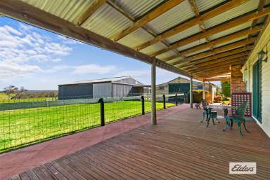 Farm For Sale - VIC - Stradbroke - 3851 - "Springbank" …. Picturesque valley setting  (Image 2)