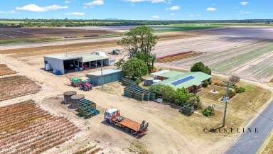 Farm For Sale - QLD - Moore Park Beach - 4670 - Live Near the Sea with 89acre Farm, Home, Sheds & 134meg of Water Allocation  (Image 2)