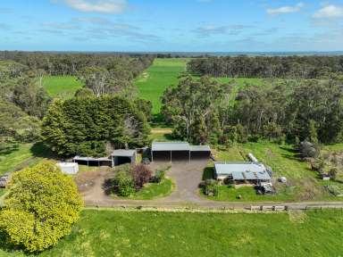 Farm For Sale - VIC - Irrewillipe - 3249 - STUNNING COLAC – BLUE RIBBON OTWAY DISTRICT PROPERTY  (Image 2)