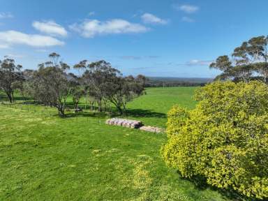 Farm For Sale - VIC - Irrewillipe - 3249 - STUNNING COLAC – BLUE RIBBON OTWAY DISTRICT PROPERTY  (Image 2)