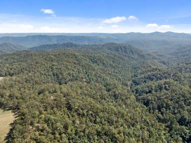 Farm For Sale - QLD - Sandy Creek - 4515 - World-Class Opportunity: 315 Forested Acres  (Image 2)