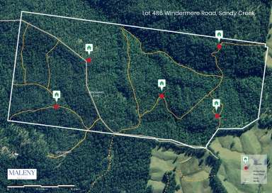 Farm For Sale - QLD - Sandy Creek - 4515 - World-Class Opportunity: 315 Forested Acres  (Image 2)