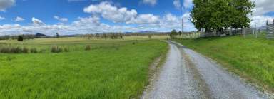 Farm For Sale - TAS - Loira - 7275 - "Rockingham Park" 761 Acres in the West Tamar Valley that's full of potential  (Image 2)