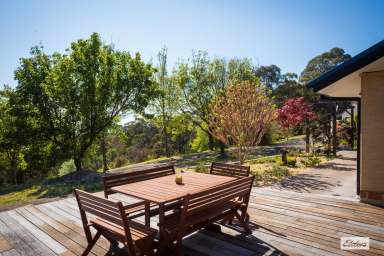 Farm For Sale - NSW - Candelo - 2550 - Quality Rammed Earth Home in Bega Valley  (Image 2)