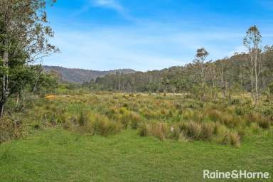 Farm For Sale - NSW - Barringella - 2540 - 406 Acres of Pristine Native Bushland With Passive Income  (Image 2)