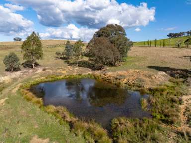 Farm Auction - NSW - Killongbutta - 2795 - 'Glenevern' - Enjoy a Rural Lifestyle!  (Image 2)