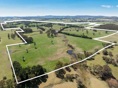 Farm Auction - NSW - Oberon - 2787 - Large Scale, Fertile & Meticulously Maintained, Highly Productive Property!  (Image 2)