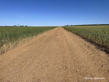 Farm For Sale - WA - Moorine Rock - 6425 - "First time offered, ideal 'add-on' opportunity"  (Image 2)