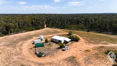 Farm For Sale - NSW - Jacks Creek - 2390 - ACREAGE - COMES WITH EVERYTHING, JUST BRING YOUR CLOTHES!  (Image 2)