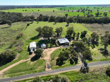 Farm For Sale - NSW - Collie - 2827 - Affordable Country Living  (Image 2)