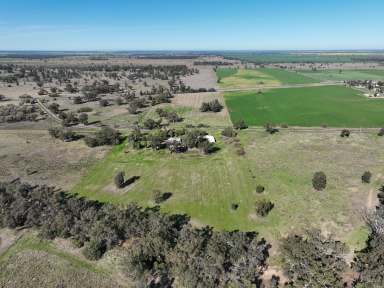 Farm For Sale - NSW - Collie - 2827 - Affordable Country Living  (Image 2)