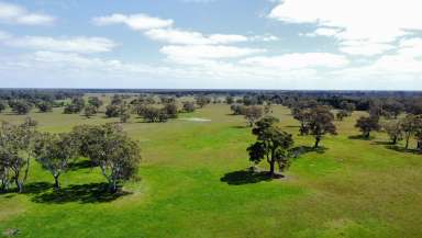 Farm For Sale - VIC - Apsley - 3319 - $2,500,000  (Image 2)