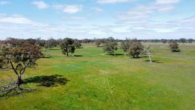 Farm For Sale - VIC - Apsley - 3319 - $2,500,000  (Image 2)