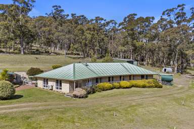 Farm For Sale - TAS - Kellevie - 7176 - Tranquil lifestyle retreat  (Image 2)