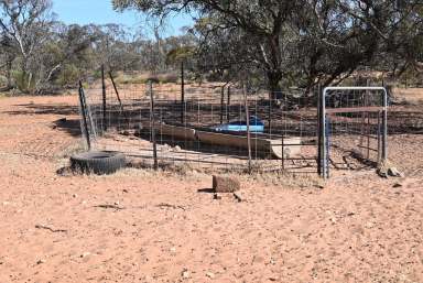 Farm For Sale - SA - Pooginook - 5330 - Substantial Rural Land Holding  (Image 2)