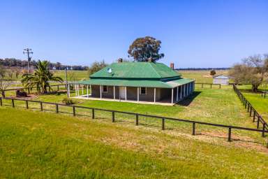 Farm For Sale - NSW - Temora - 2666 - OPPORTUNITY KNOCKS - 118*ac, TOWN WATER, TAR ROAD FRONTAGE  (Image 2)