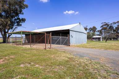 Farm For Sale - NSW - Temora - 2666 - OPPORTUNITY KNOCKS - 118*ac, TOWN WATER, TAR ROAD FRONTAGE  (Image 2)