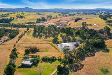 Farm For Sale - VIC - Wy Yung - 3875 - 'CLIFTON PARK'  (Image 2)