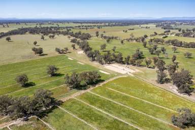 Farm For Sale - VIC - Goomalibee - 3673 - Versatile Cropping or Grazing property with Water Security  (Image 2)