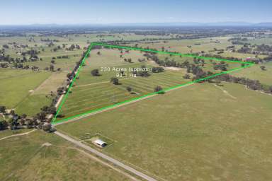 Farm For Sale - VIC - Goomalibee - 3673 - Versatile Cropping or Grazing property with Water Security  (Image 2)