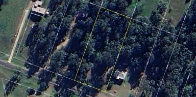 Farm For Sale - NSW - Copmanhurst - 2460 - ONE ACRE HOMESITE IN VILLAGE OF COPMANHURST  (Image 2)