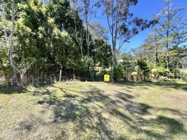 Farm For Sale - NSW - Copmanhurst - 2460 - ONE ACRE HOMESITE IN VILLAGE OF COPMANHURST  (Image 2)