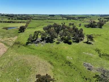 Farm Auction - NSW - Crookwell - 2583 - Tightly Held Crookwell Grazing & Recreation  (Image 2)