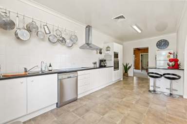 Farm For Sale - NSW - Lochinvar - 2321 - FAMILY SIZED HOME ON TWO ACRES IN THE HEART OF LOCHINVAR  (Image 2)