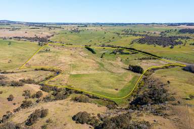 Farm Auction - NSW - Crookwell - 2583 - Ticks all the boxes!  (Image 2)