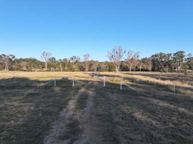 Farm For Sale - QLD - Mosquito Creek - 4387 - Blank Canvas on Southern Downs  (Image 2)