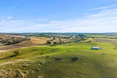 Farm For Sale - NSW - Boorowa - 2586 - EXPANSIVE RURAL ENTERPRISE. HIGH RAINFALL CATCHMENT  (Image 2)